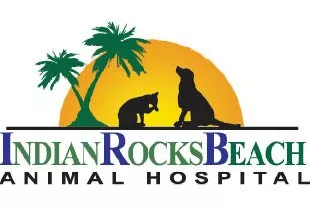 Indian Rocks Beach Animal Hospital, Florida, Largo